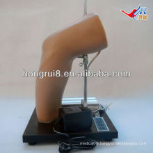 ISO Deluxe Elbow Intra-articular Injection Training Model, elbow injection model